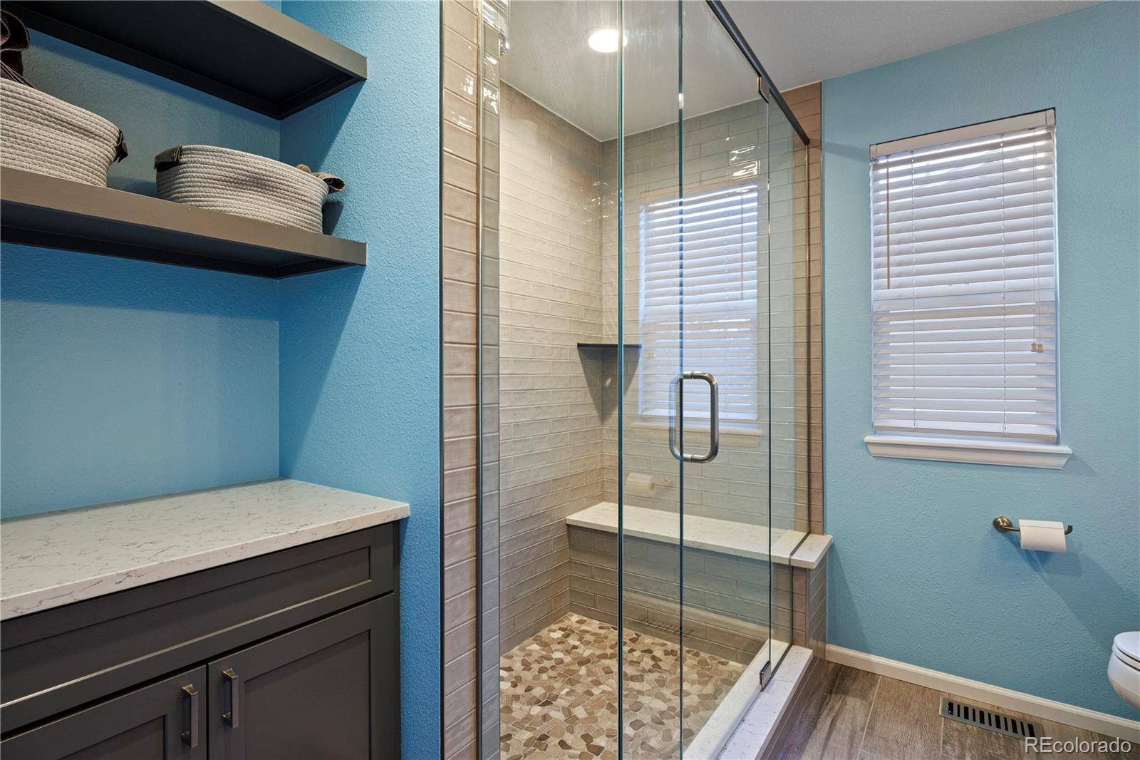MLS Image #28 for 21341  white ash court,parker, Colorado