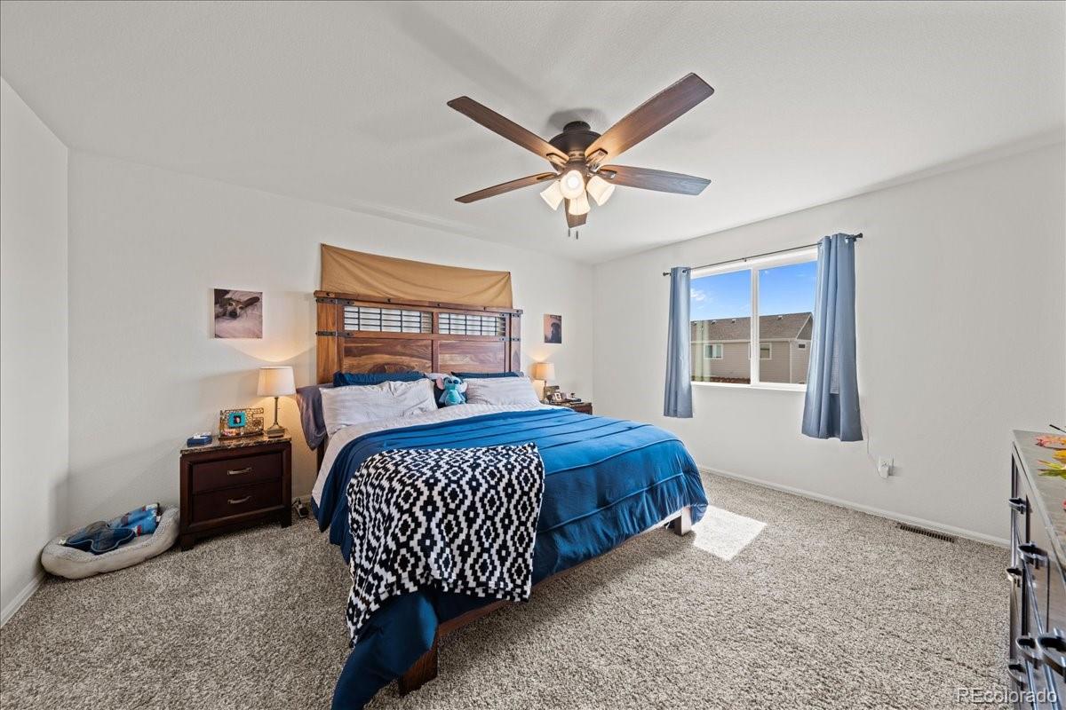 MLS Image #20 for 949  ashbrook drive,windsor, Colorado