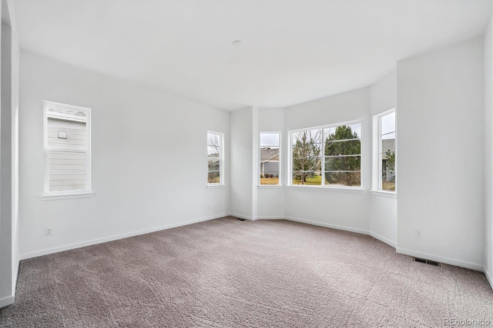MLS Image #14 for 3813  emerald shore circle,loveland, Colorado