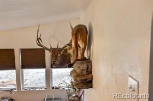 MLS Image #10 for 640  county rd 571 ,gardner, Colorado