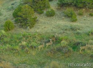 MLS Image #4 for 640  county rd 571 ,gardner, Colorado