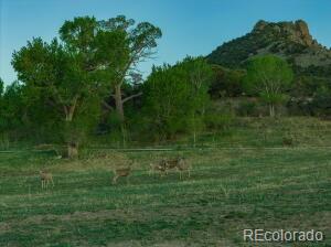 MLS Image #5 for 640  county rd 571 ,gardner, Colorado