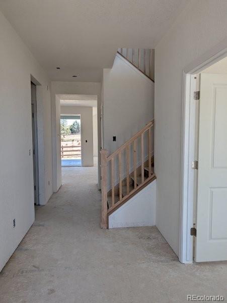 MLS Image #1 for 3455  ballinger circle,mead, Colorado