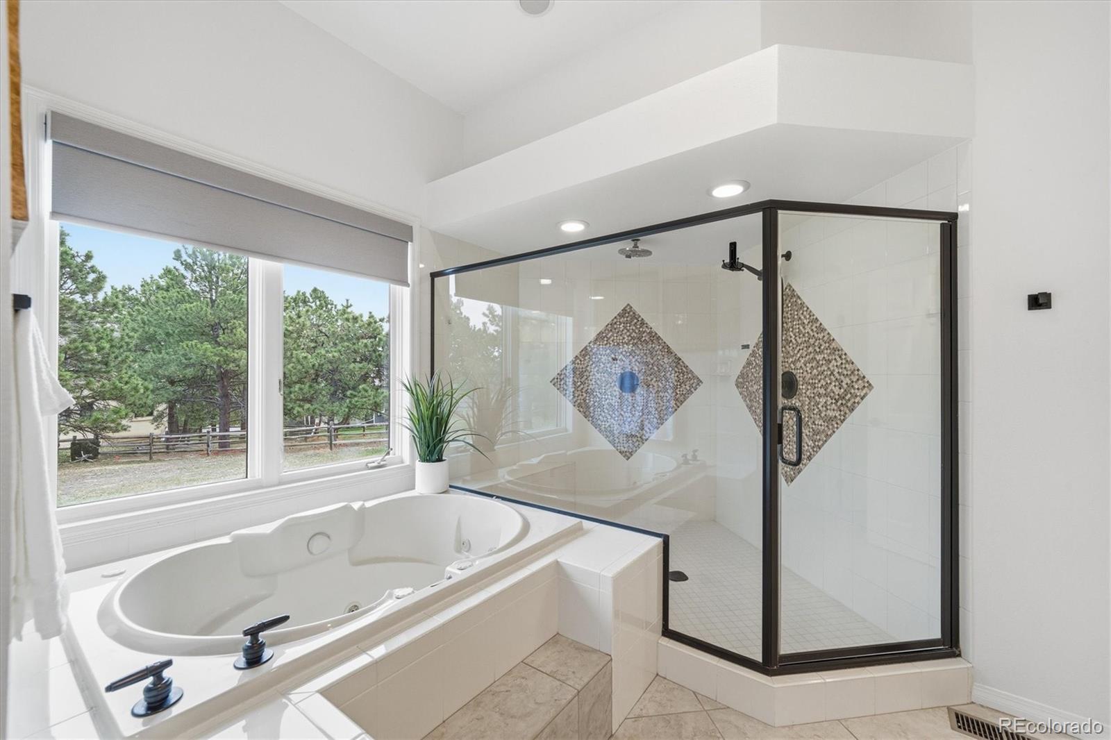 MLS Image #23 for 1630  plowman place,monument, Colorado