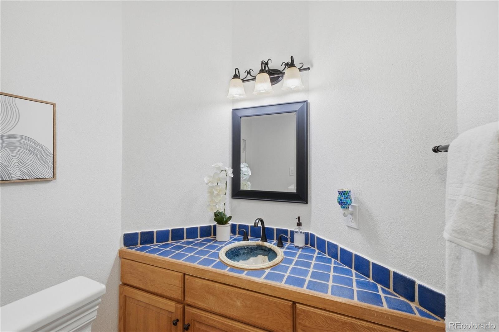 MLS Image #25 for 1630  plowman place,monument, Colorado