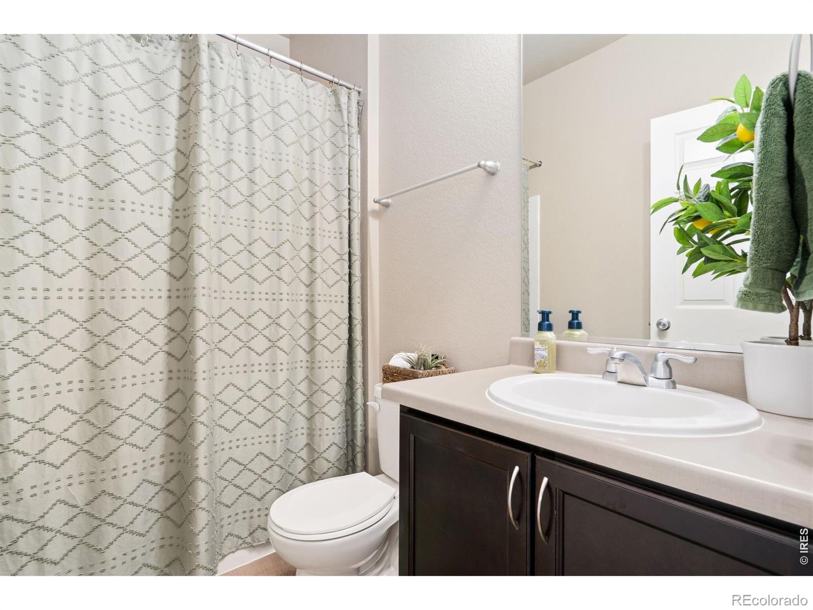 MLS Image #14 for 3713  torch lily street,wellington, Colorado