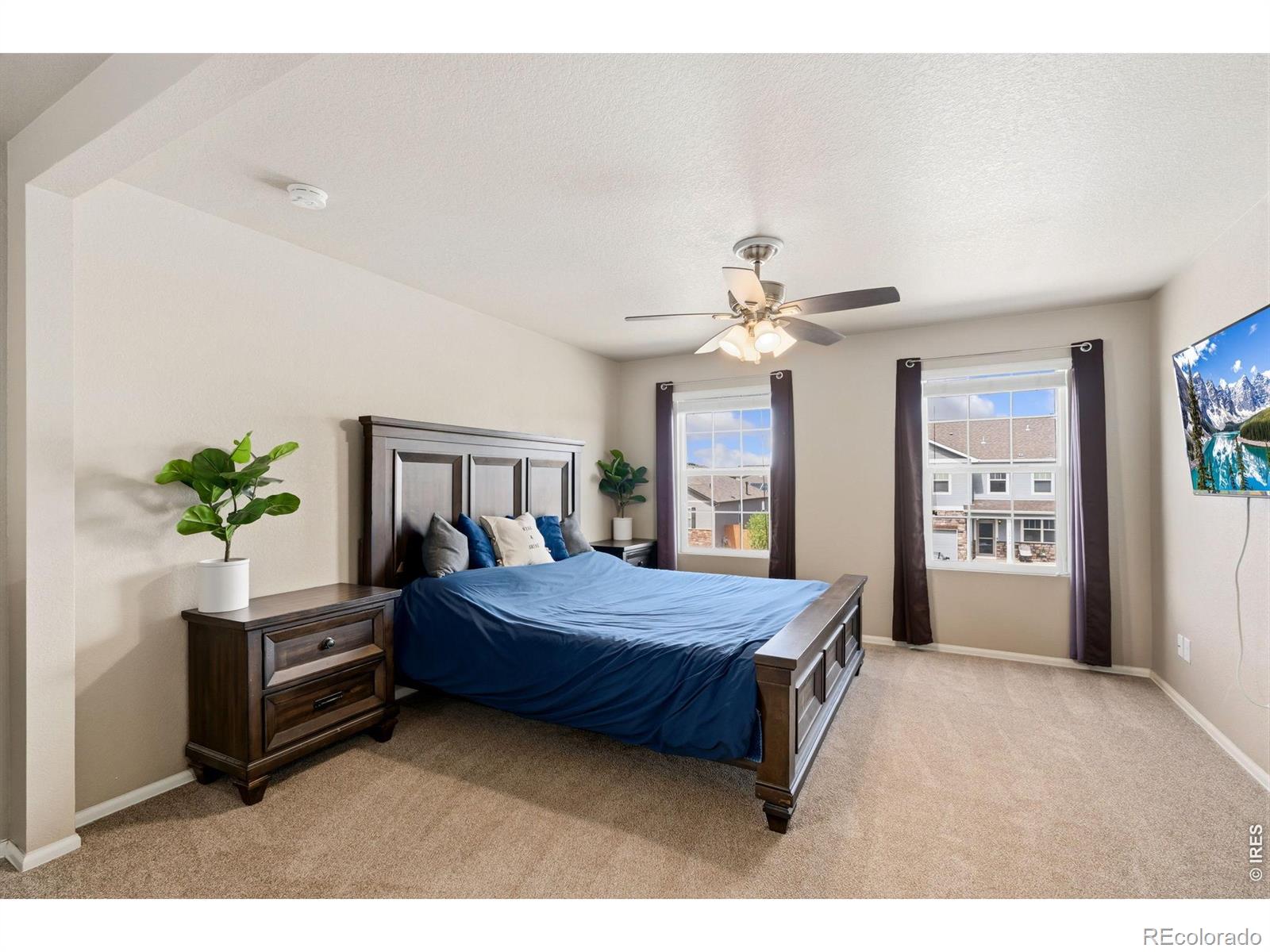 MLS Image #22 for 3713  torch lily street,wellington, Colorado