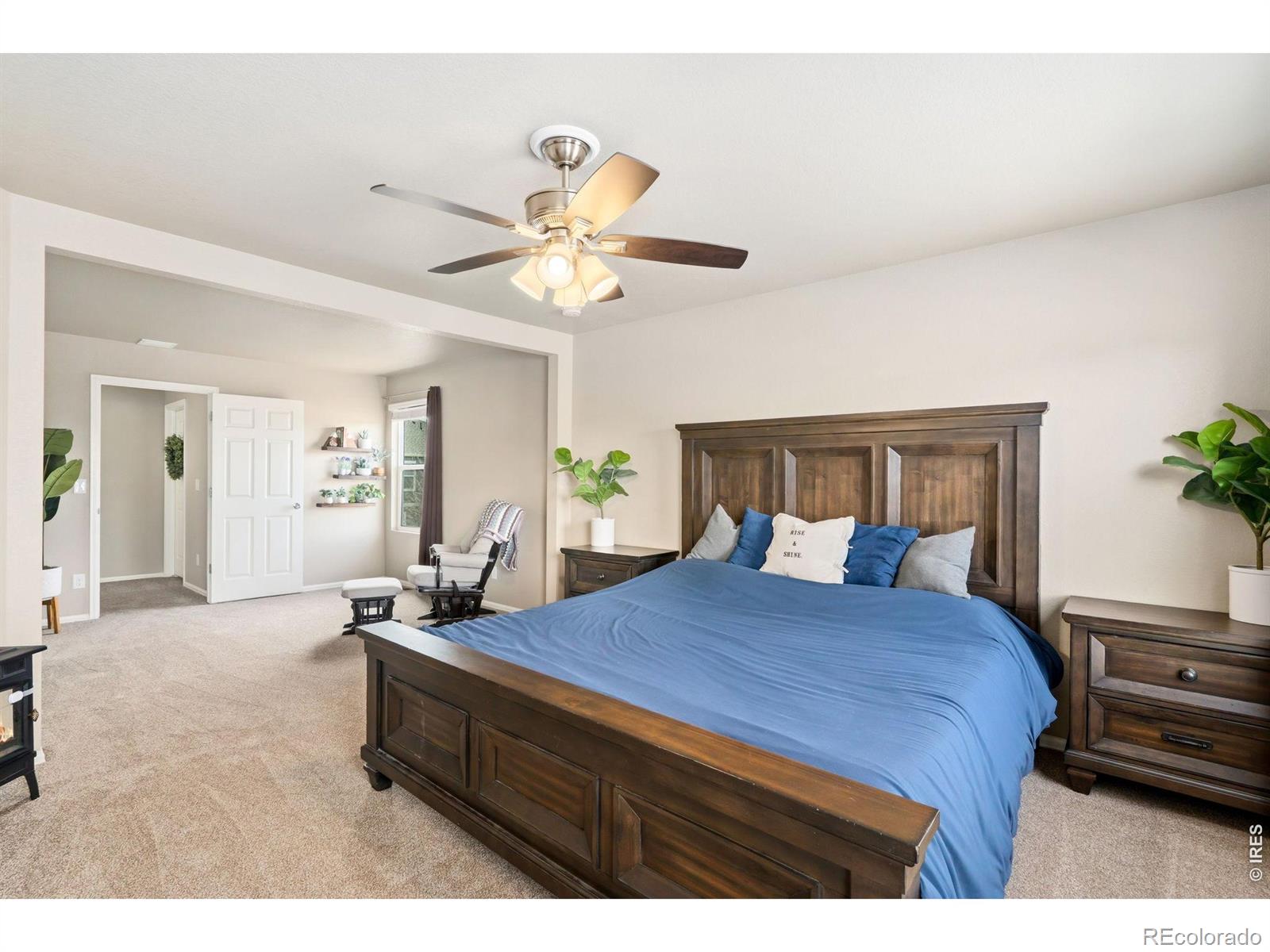 MLS Image #23 for 3713  torch lily street,wellington, Colorado