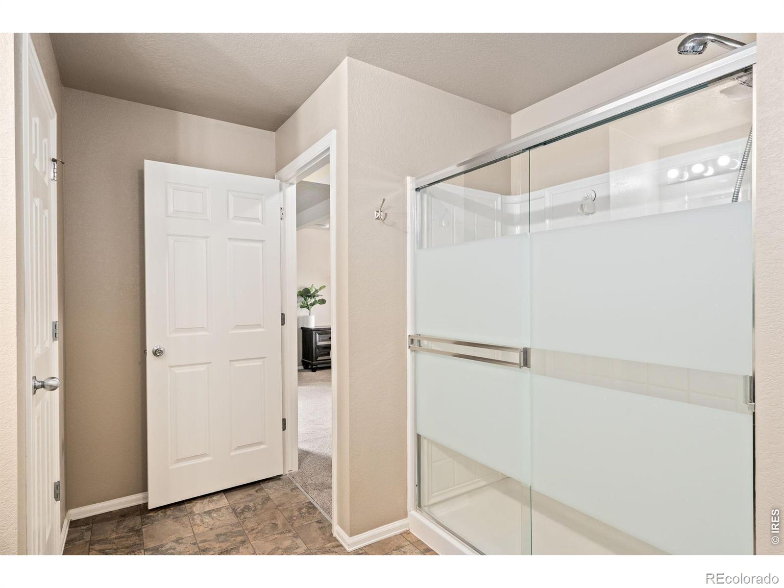 MLS Image #27 for 3713  torch lily street,wellington, Colorado