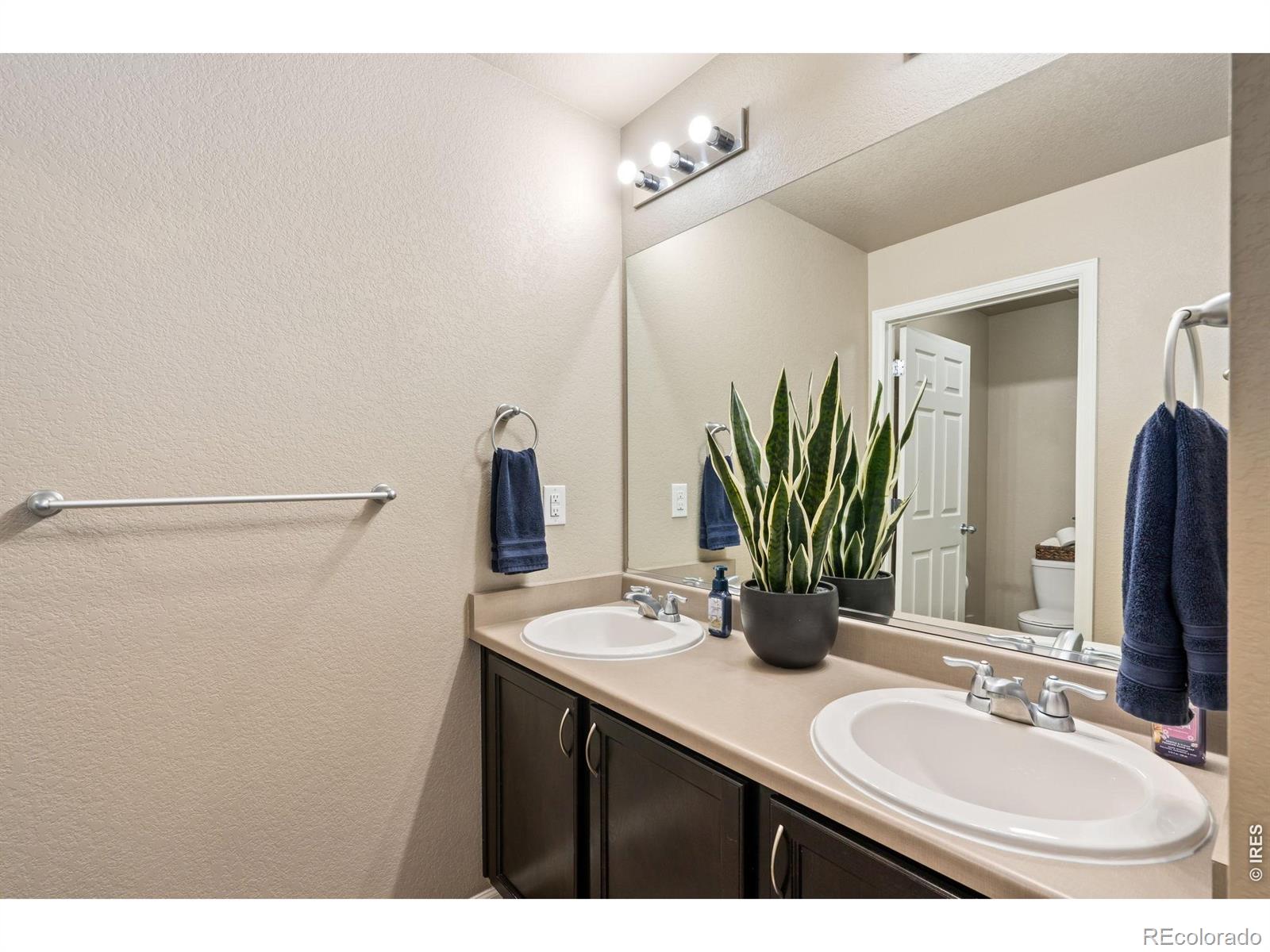 MLS Image #33 for 3713  torch lily street,wellington, Colorado