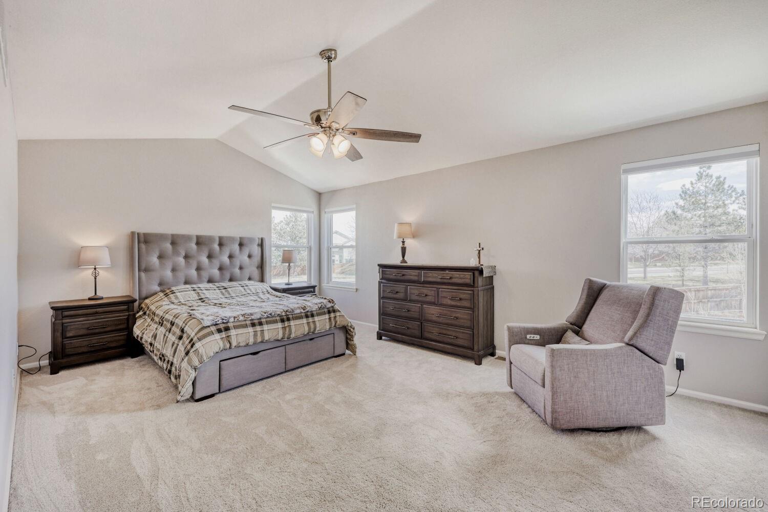 MLS Image #11 for 388  hampstead avenue,castle rock, Colorado