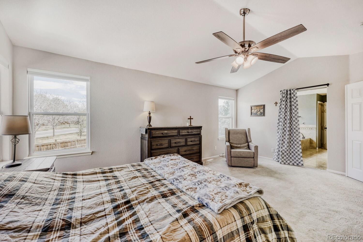 MLS Image #12 for 388  hampstead avenue,castle rock, Colorado
