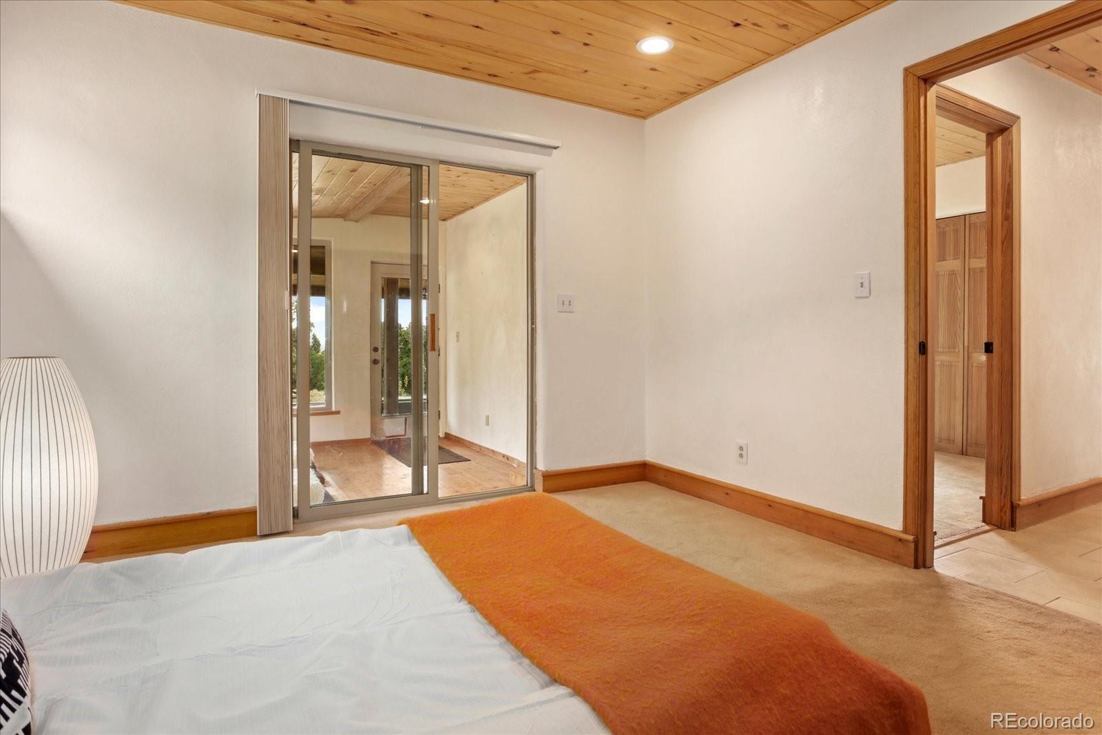 MLS Image #34 for 4417  twinview court,crestone, Colorado
