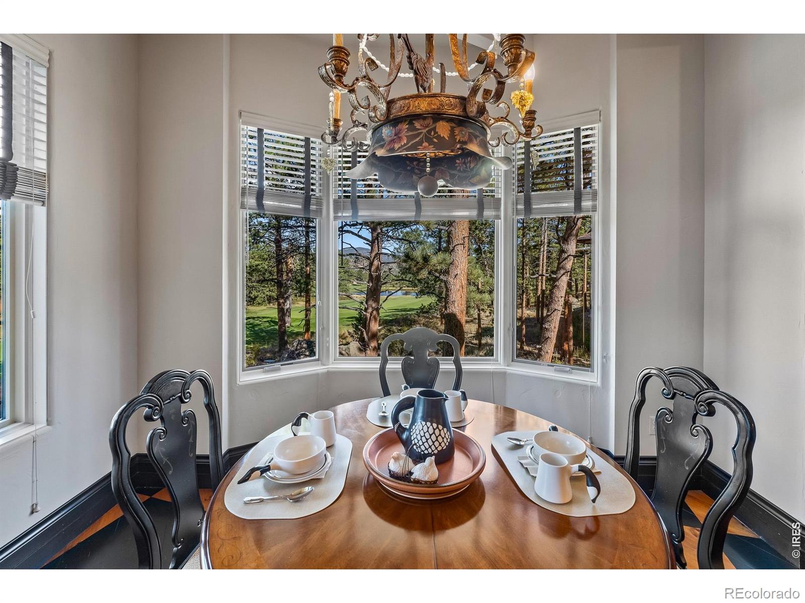 MLS Image #18 for 2251  fox acres drive,red feather lakes, Colorado