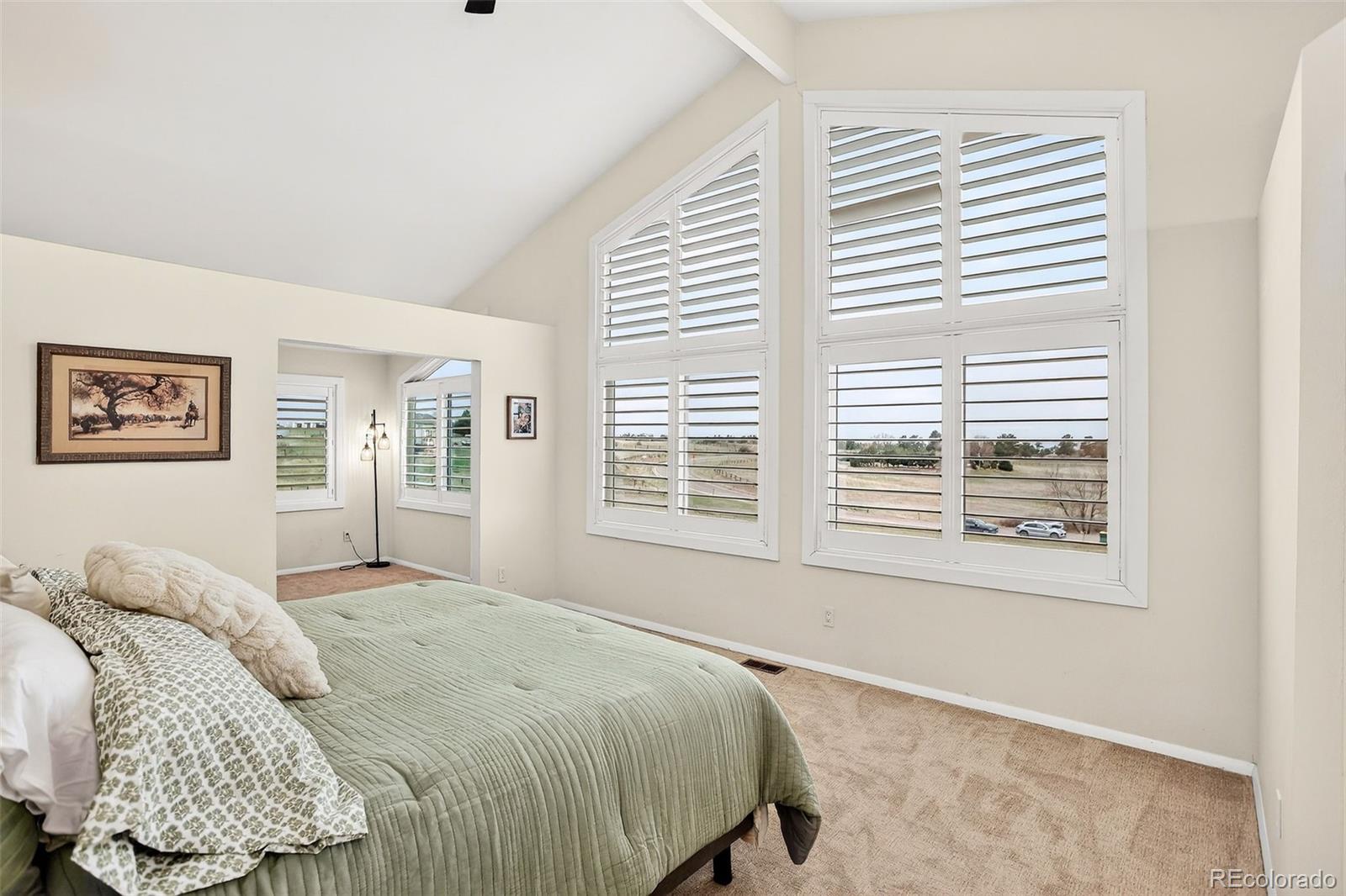 MLS Image #28 for 13786  travois trail,parker, Colorado