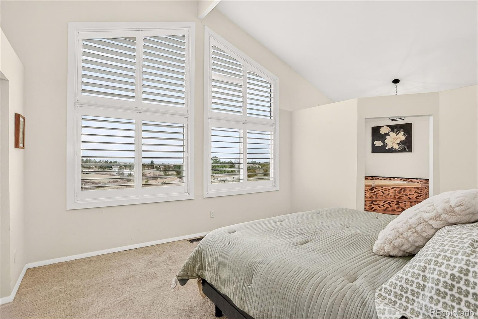 MLS Image #29 for 13786  travois trail,parker, Colorado