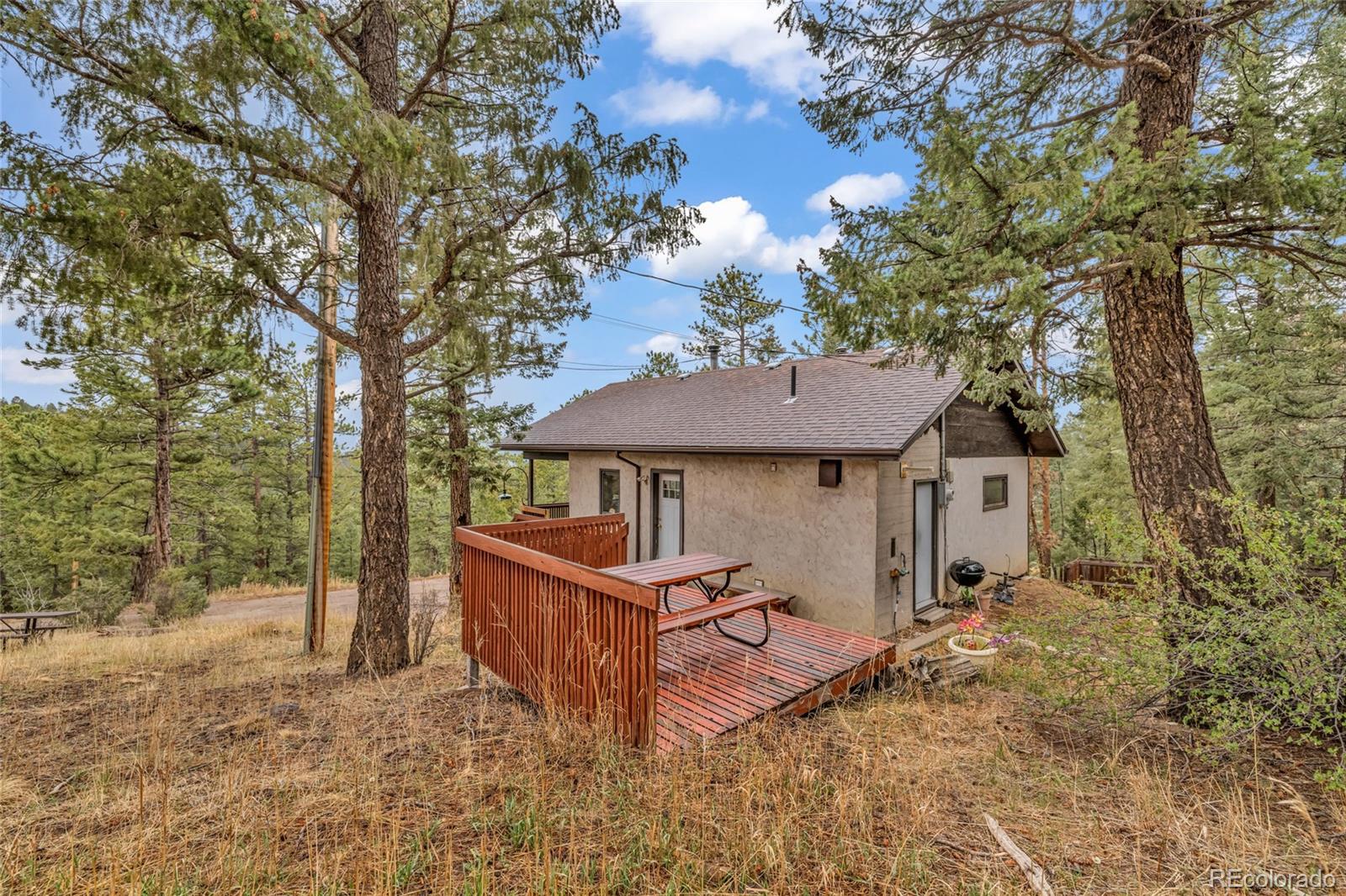 MLS Image #12 for 4694  trinchera trail,evergreen, Colorado