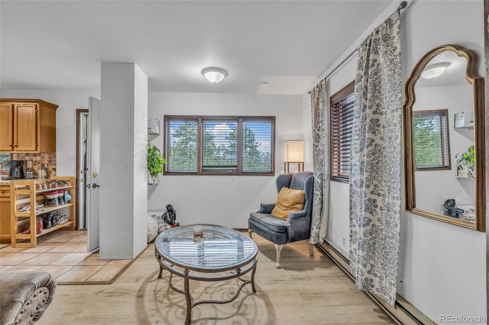 MLS Image #6 for 4694  trinchera trail,evergreen, Colorado