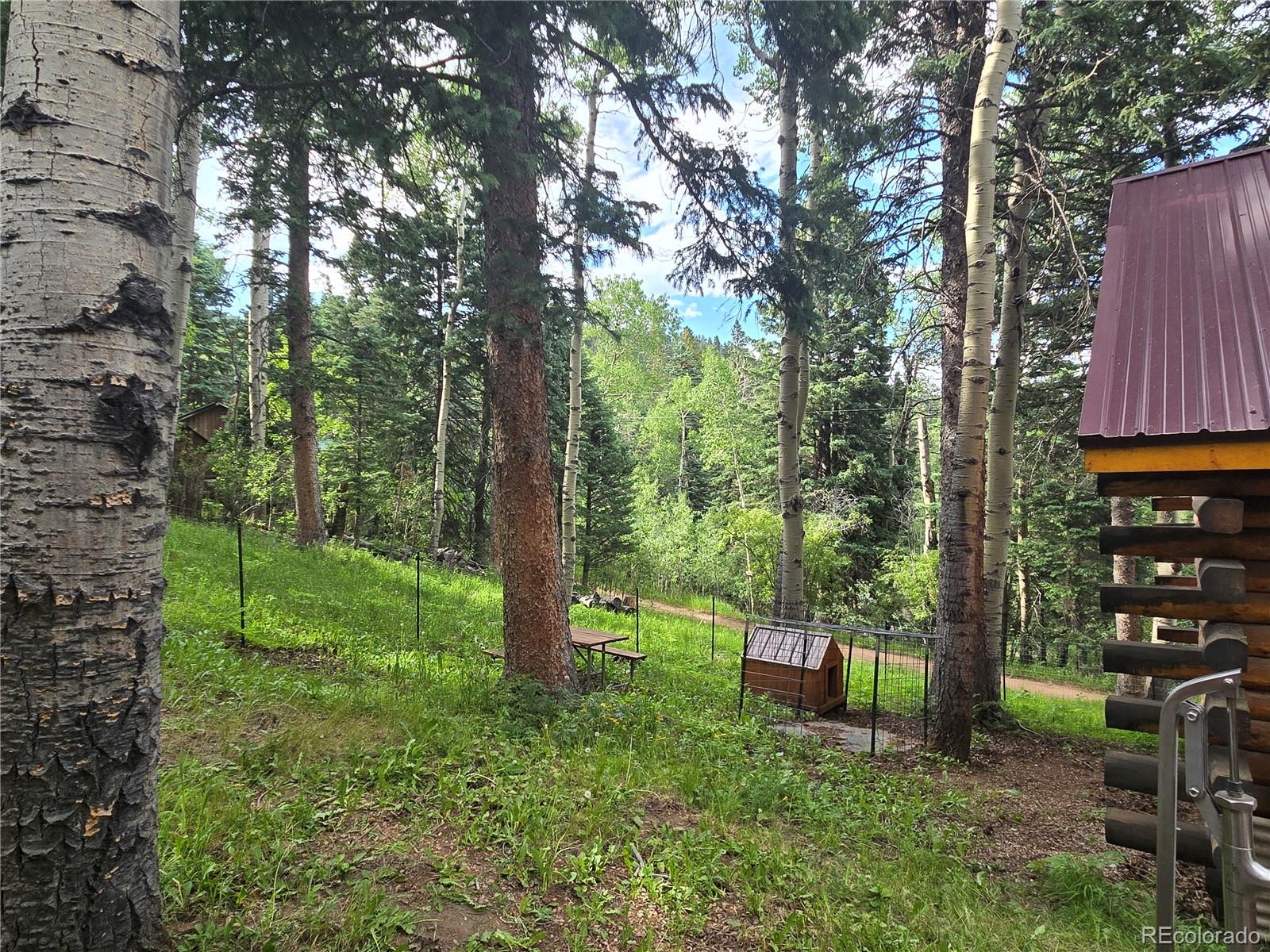 MLS Image #19 for 9626  state highway 165 ,rye, Colorado