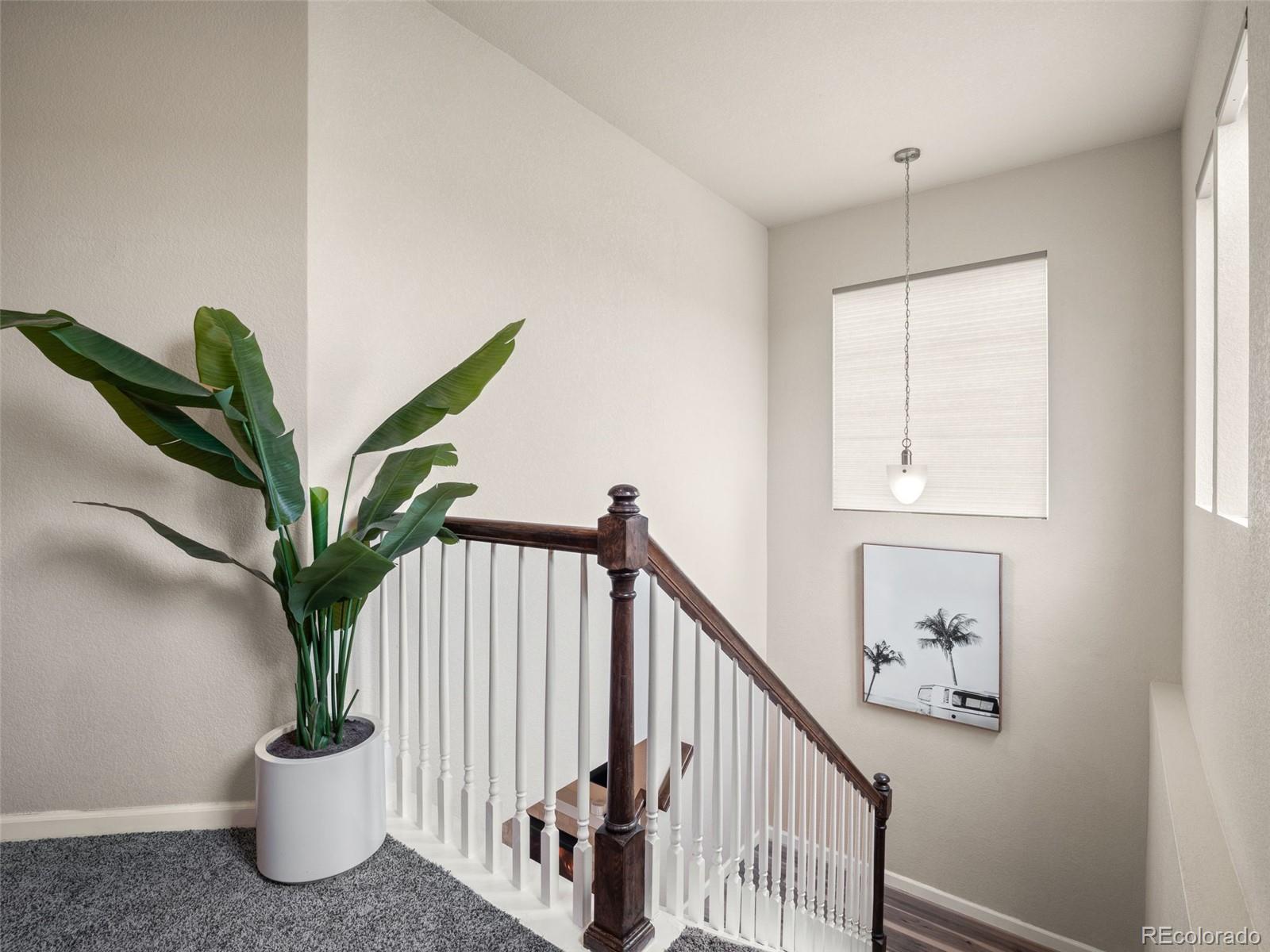 MLS Image #14 for 7312  depew street,arvada, Colorado
