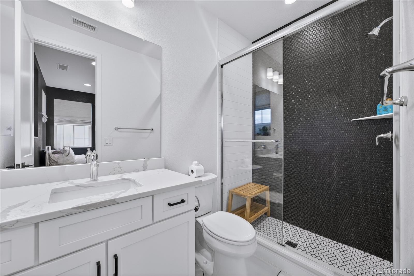 MLS Image #31 for 11117  bright sky circle,littleton, Colorado