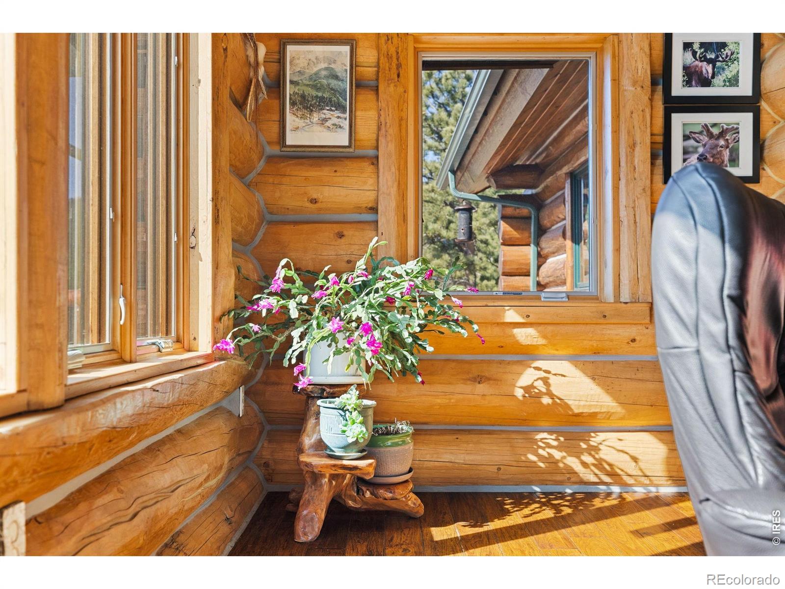 MLS Image #14 for 470  big john road,lyons, Colorado