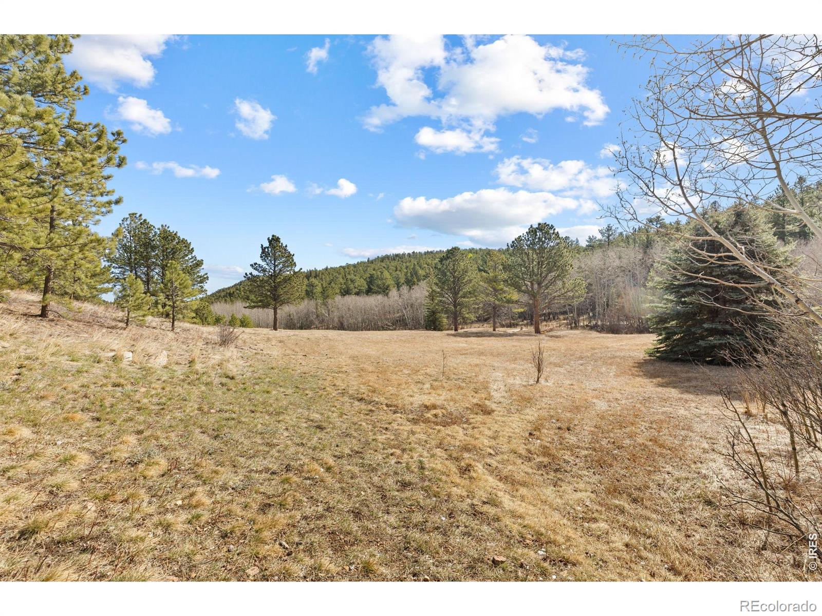 MLS Image #34 for 470  big john road,lyons, Colorado