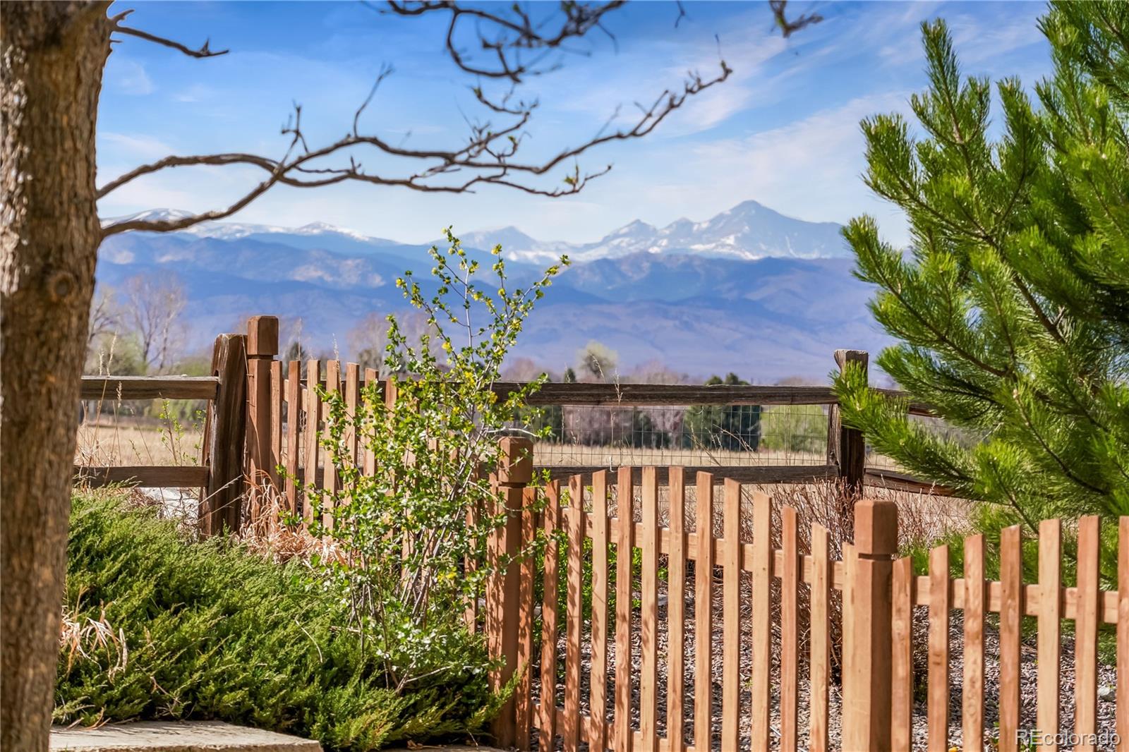 MLS Image #41 for 593  mills street,lafayette, Colorado