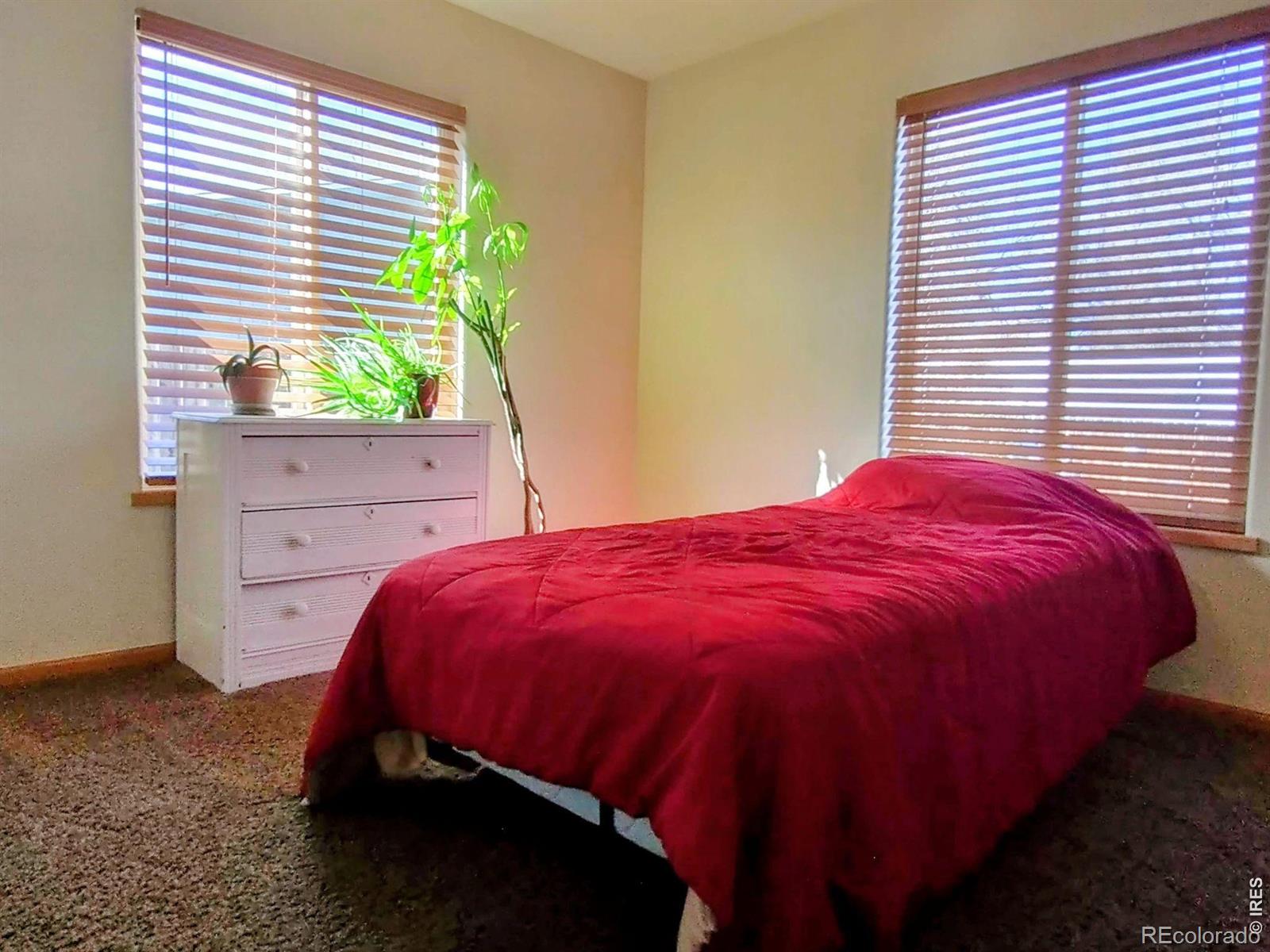 MLS Image #9 for 2312  plains court,fort collins, Colorado