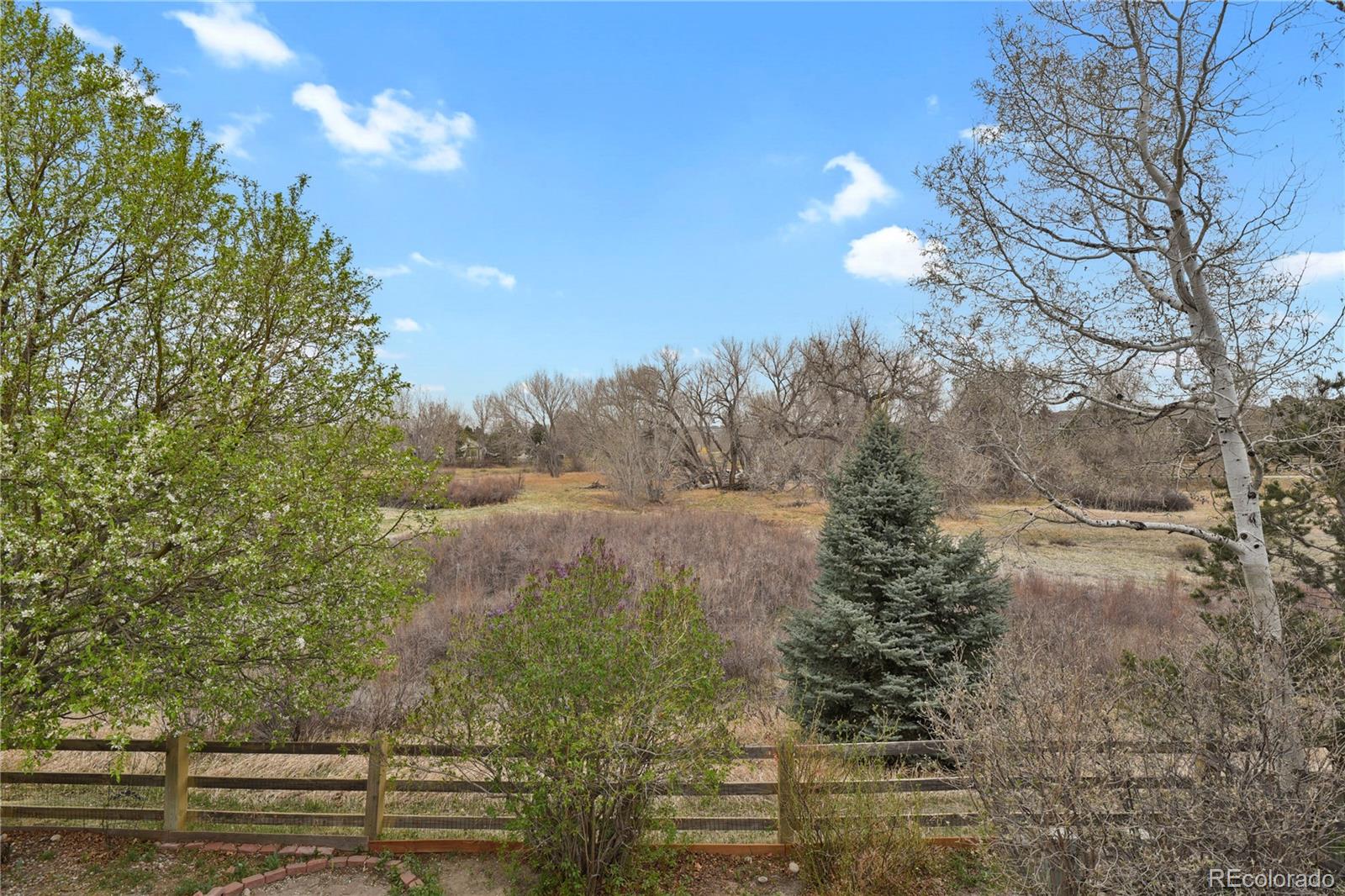 MLS Image #32 for 11852  meadowood lane,parker, Colorado