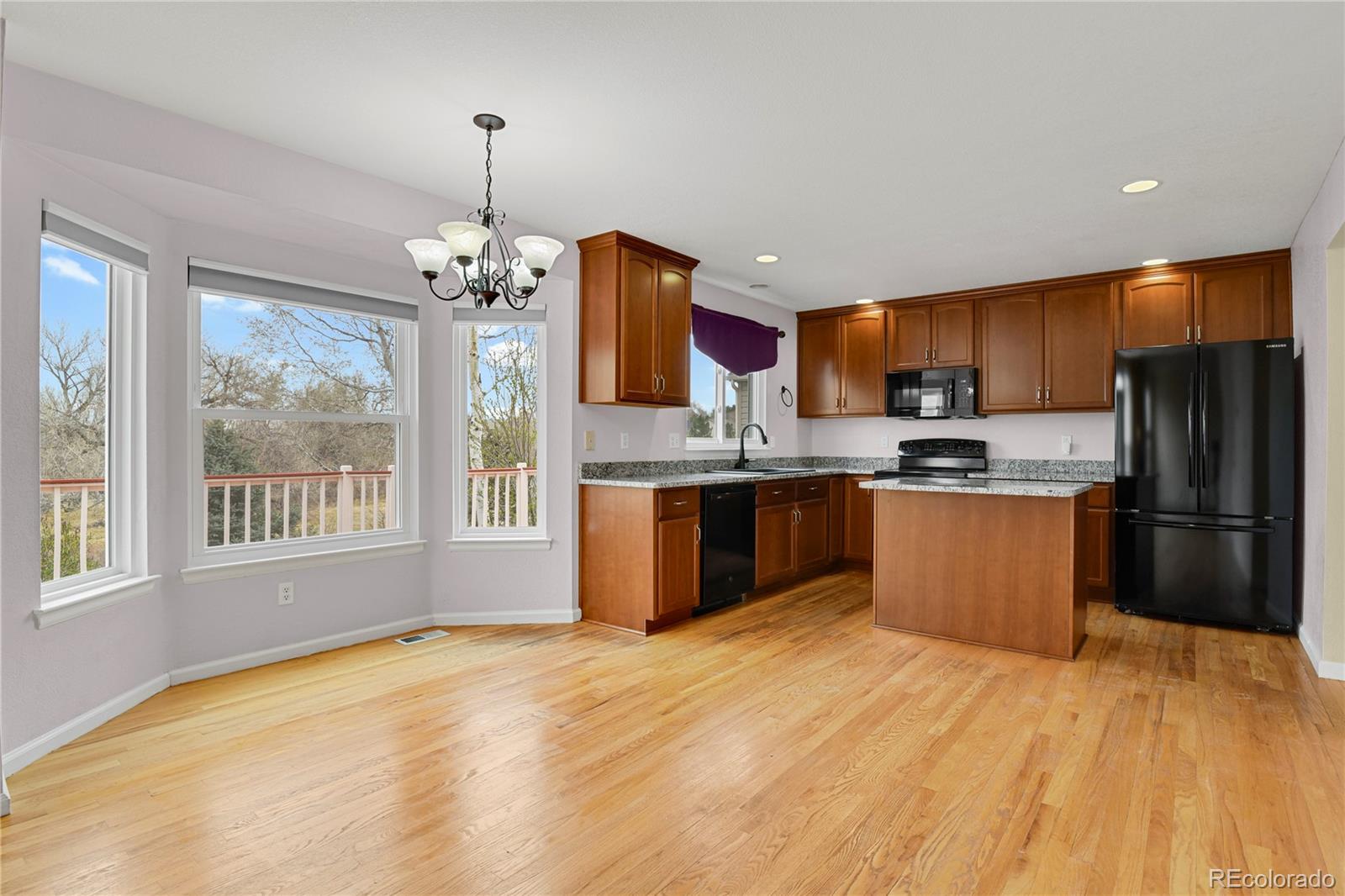 MLS Image #7 for 11852  meadowood lane,parker, Colorado