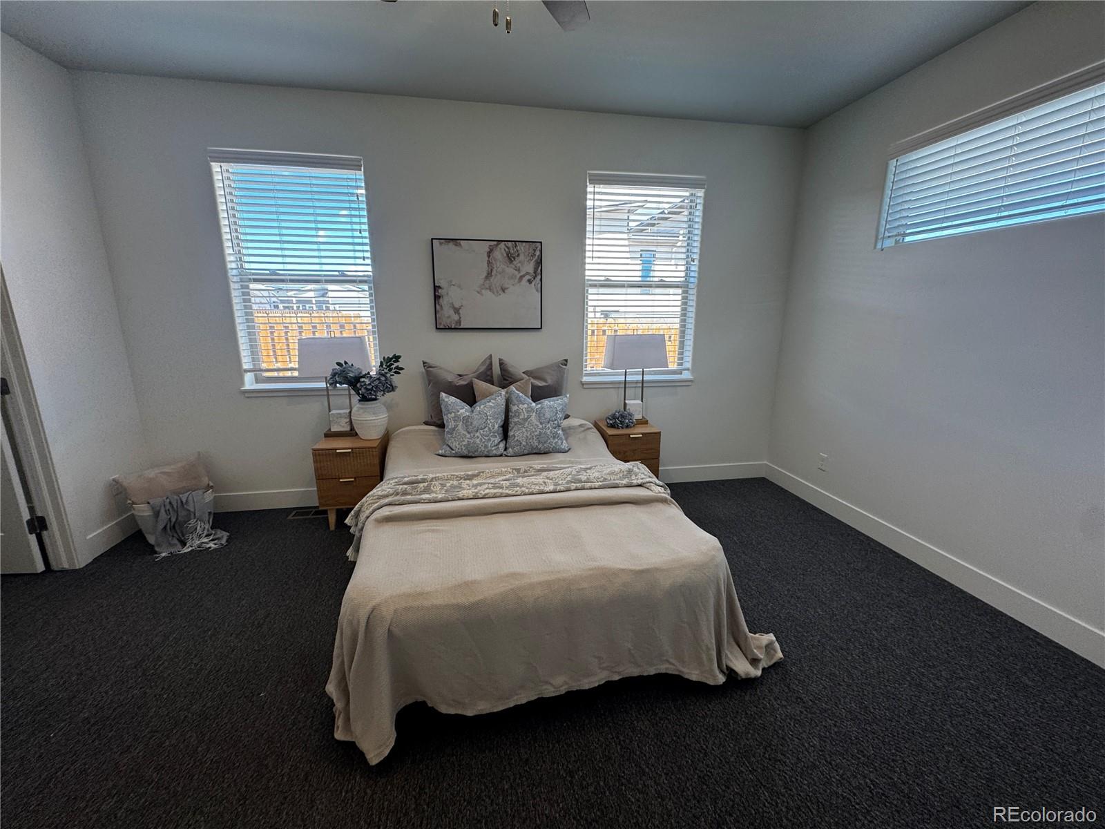 MLS Image #14 for 129  red tail boulevard,buena vista, Colorado