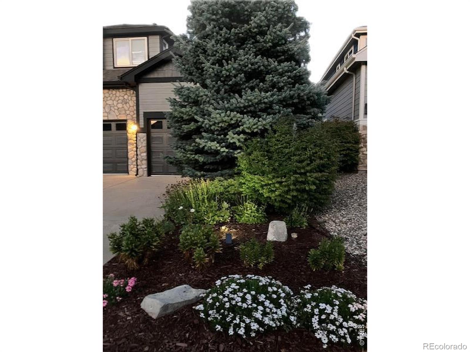MLS Image #2 for 8106  northstar drive,windsor, Colorado