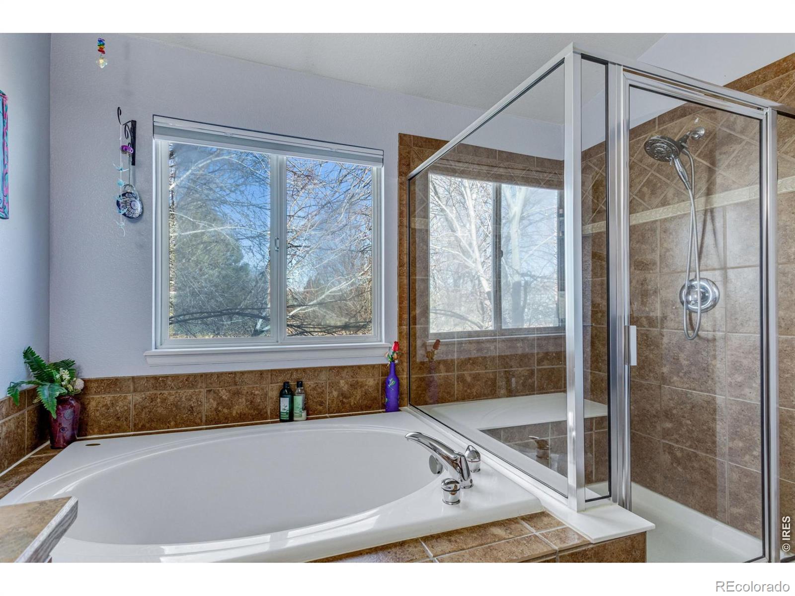 MLS Image #36 for 8106  northstar drive,windsor, Colorado