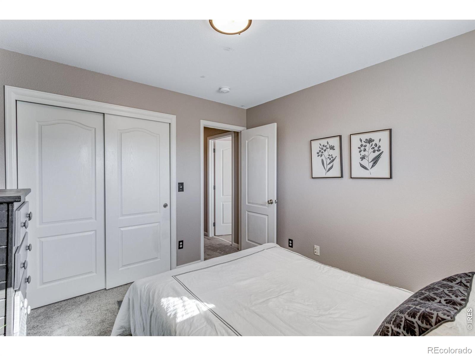MLS Image #40 for 8106  northstar drive,windsor, Colorado