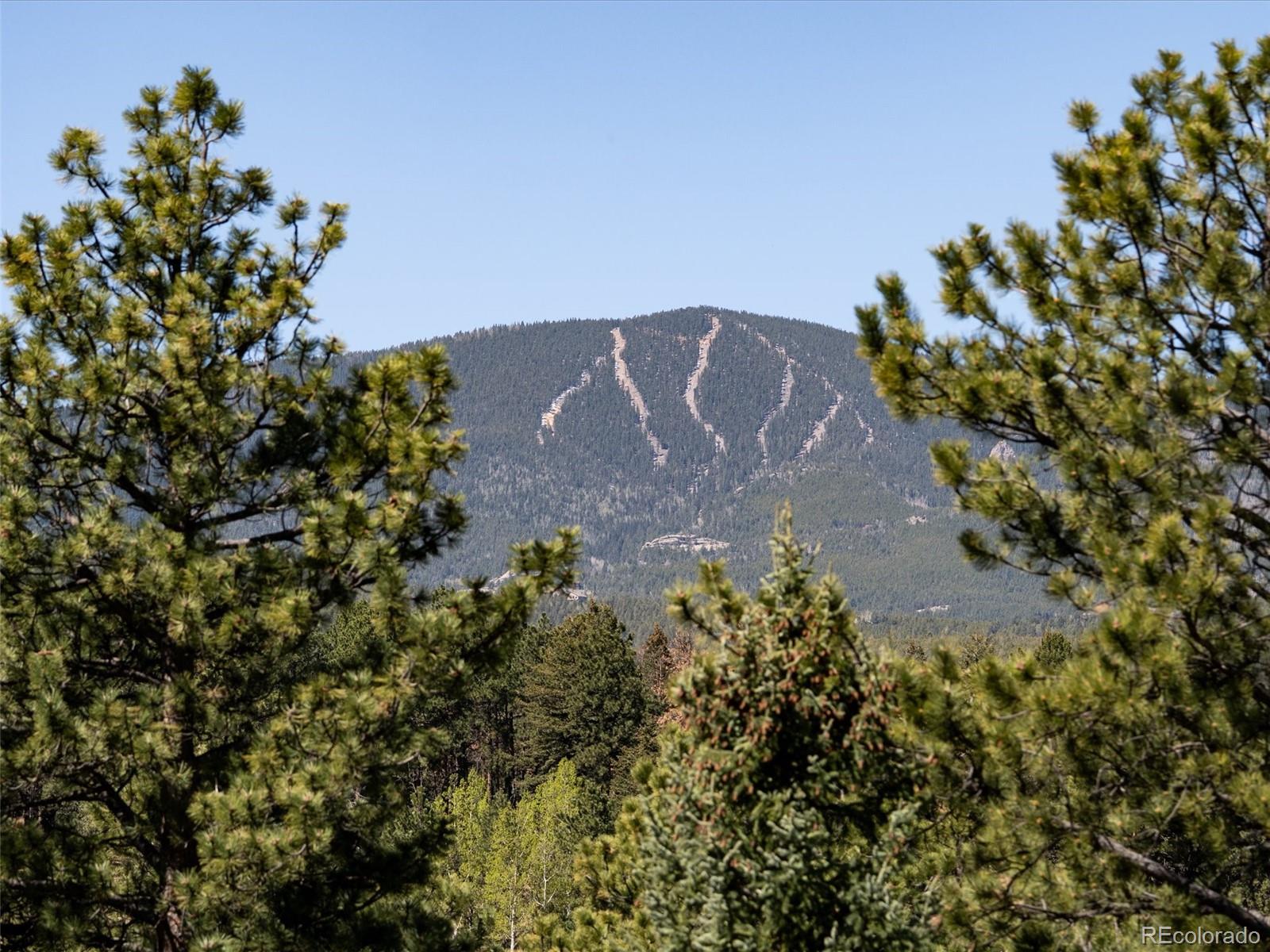 MLS Image #10 for 8731  grizzly way,evergreen, Colorado