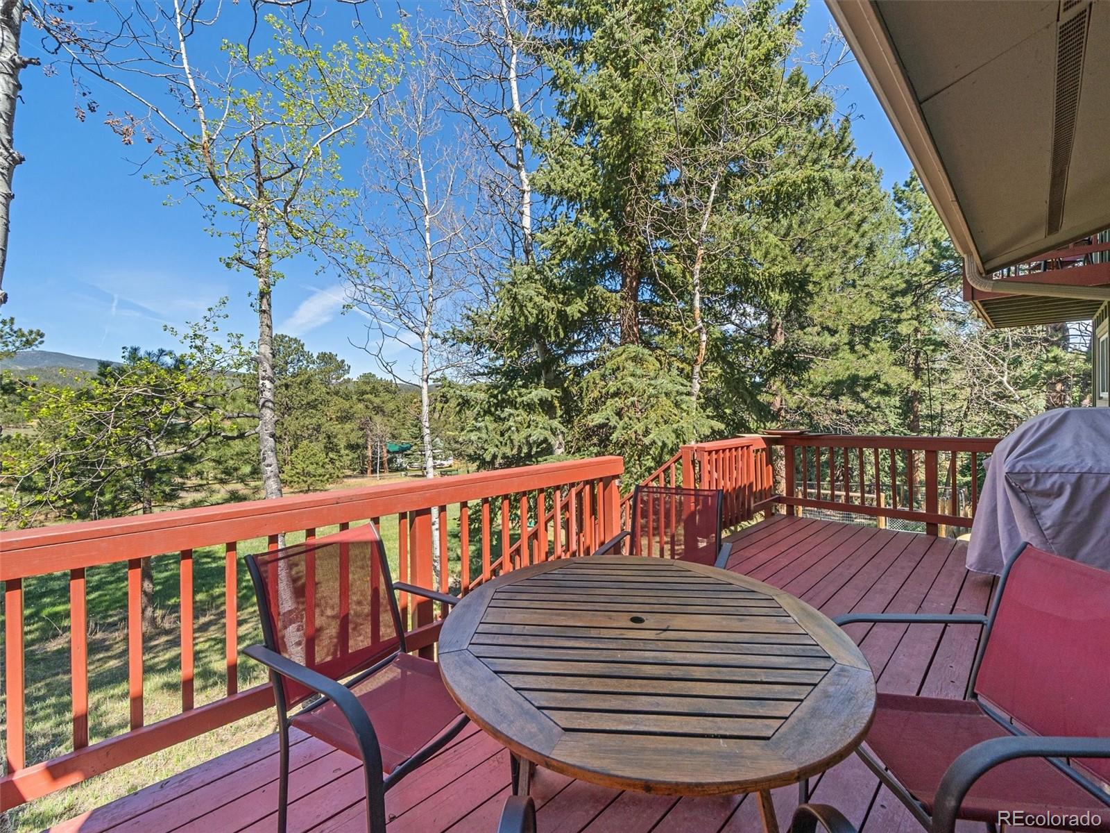 MLS Image #11 for 8731  grizzly way,evergreen, Colorado