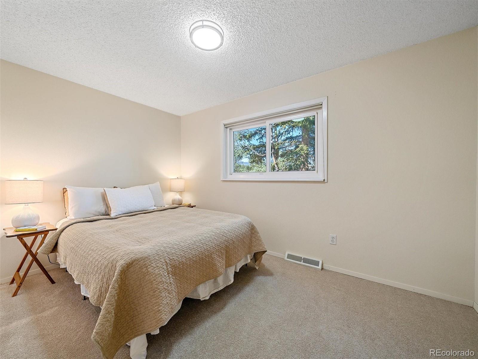 MLS Image #15 for 8731  grizzly way,evergreen, Colorado