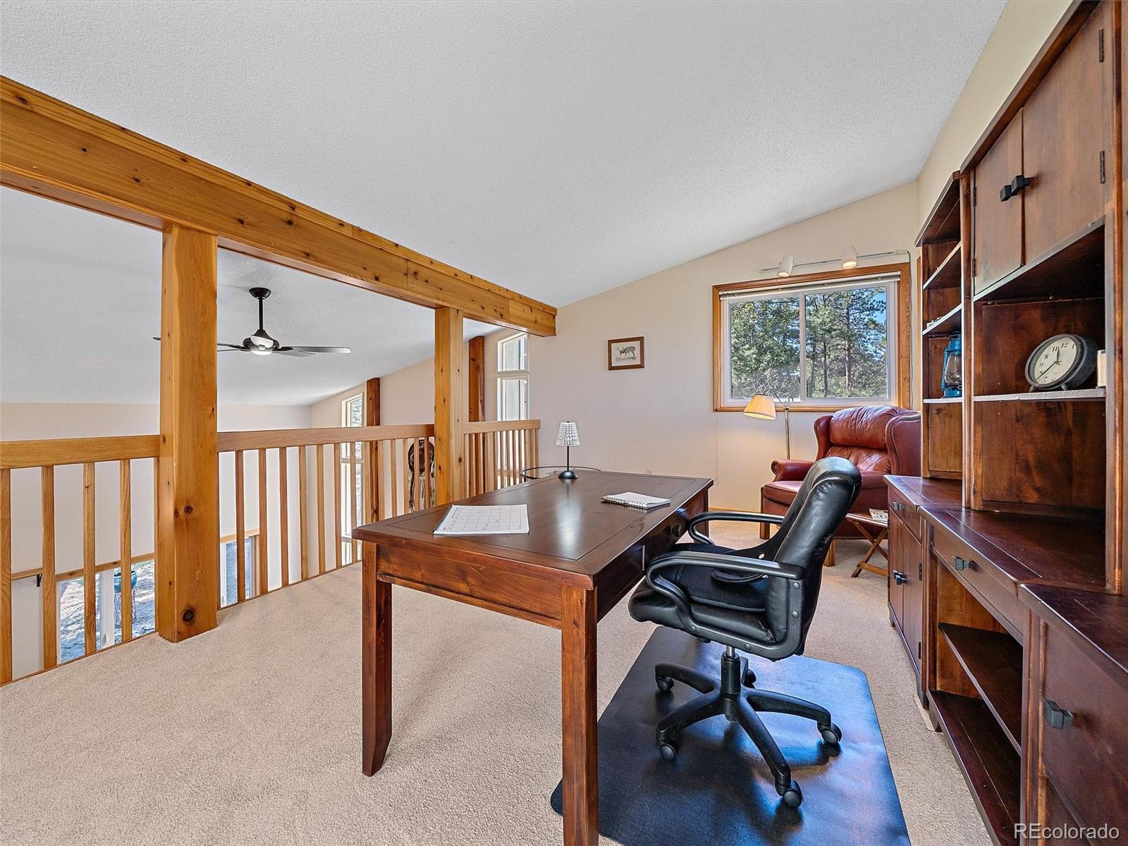 MLS Image #18 for 8731  grizzly way,evergreen, Colorado
