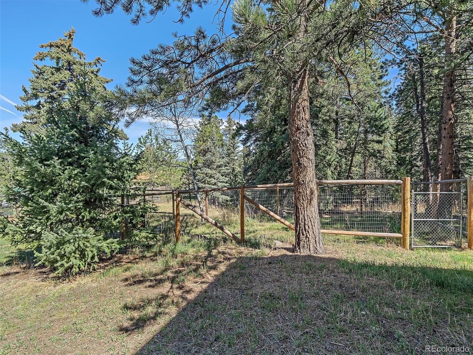 MLS Image #36 for 8731  grizzly way,evergreen, Colorado