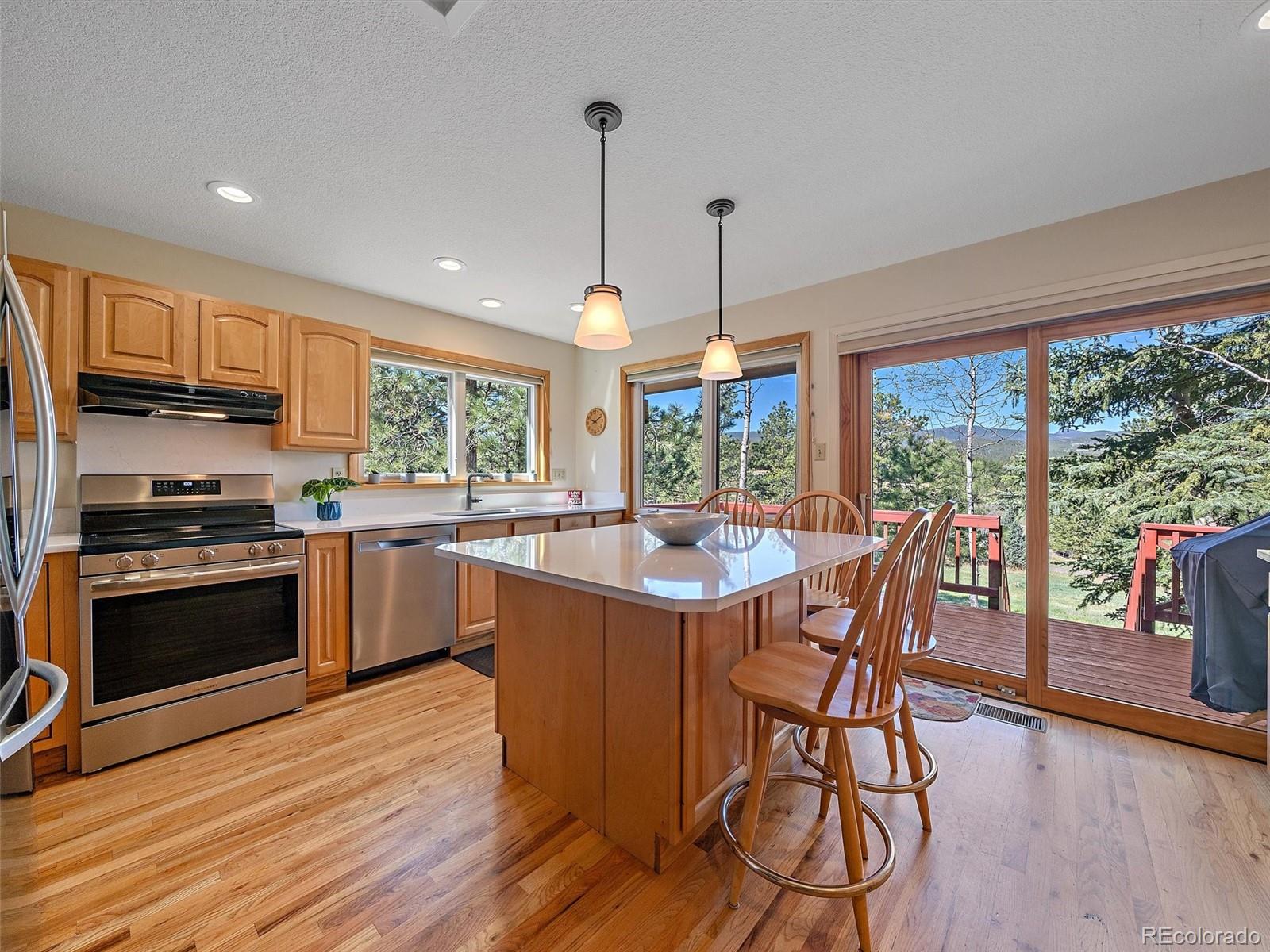 MLS Image #8 for 8731  grizzly way,evergreen, Colorado