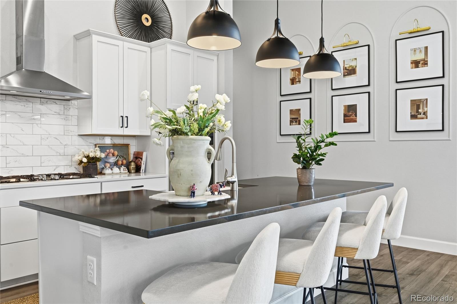 MLS Image #10 for 3208  carabiner street,castle rock, Colorado