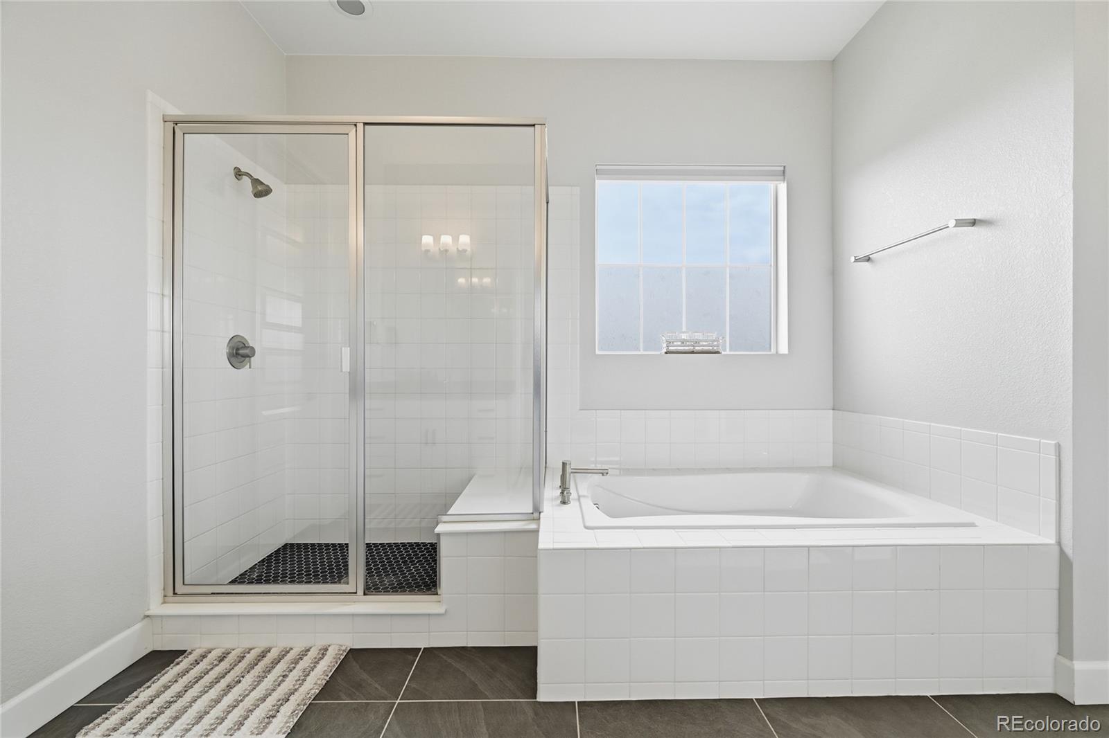 MLS Image #15 for 3208  carabiner street,castle rock, Colorado
