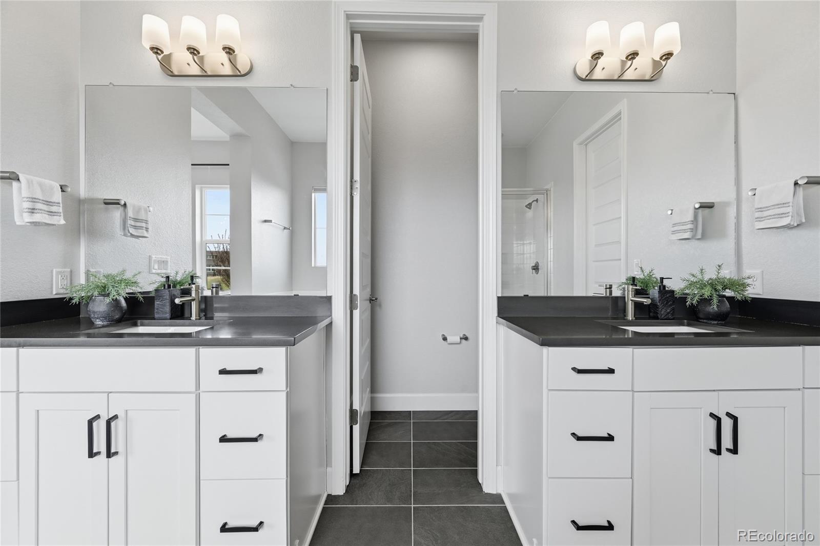 MLS Image #16 for 3208  carabiner street,castle rock, Colorado