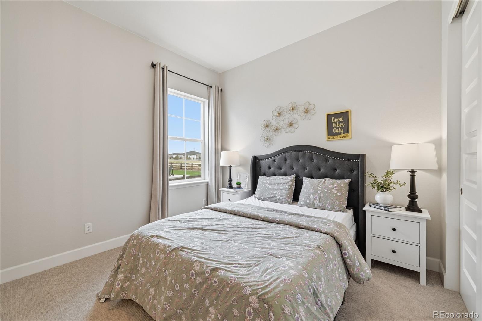 MLS Image #17 for 3208  carabiner street,castle rock, Colorado