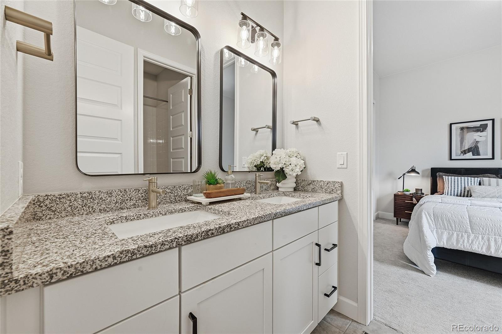 MLS Image #18 for 3208  carabiner street,castle rock, Colorado