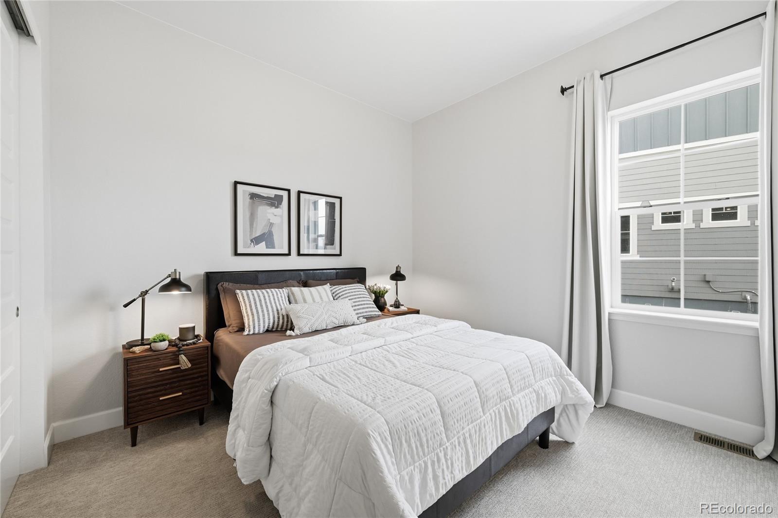 MLS Image #20 for 3208  carabiner street,castle rock, Colorado