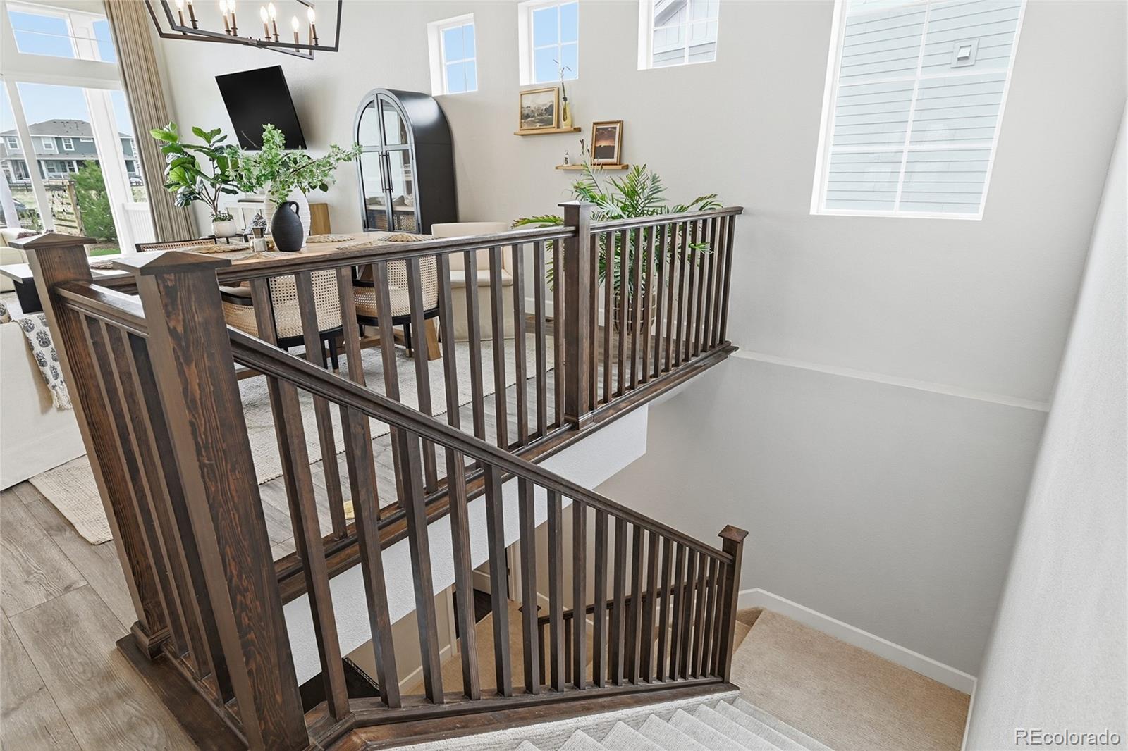 MLS Image #22 for 3208  carabiner street,castle rock, Colorado