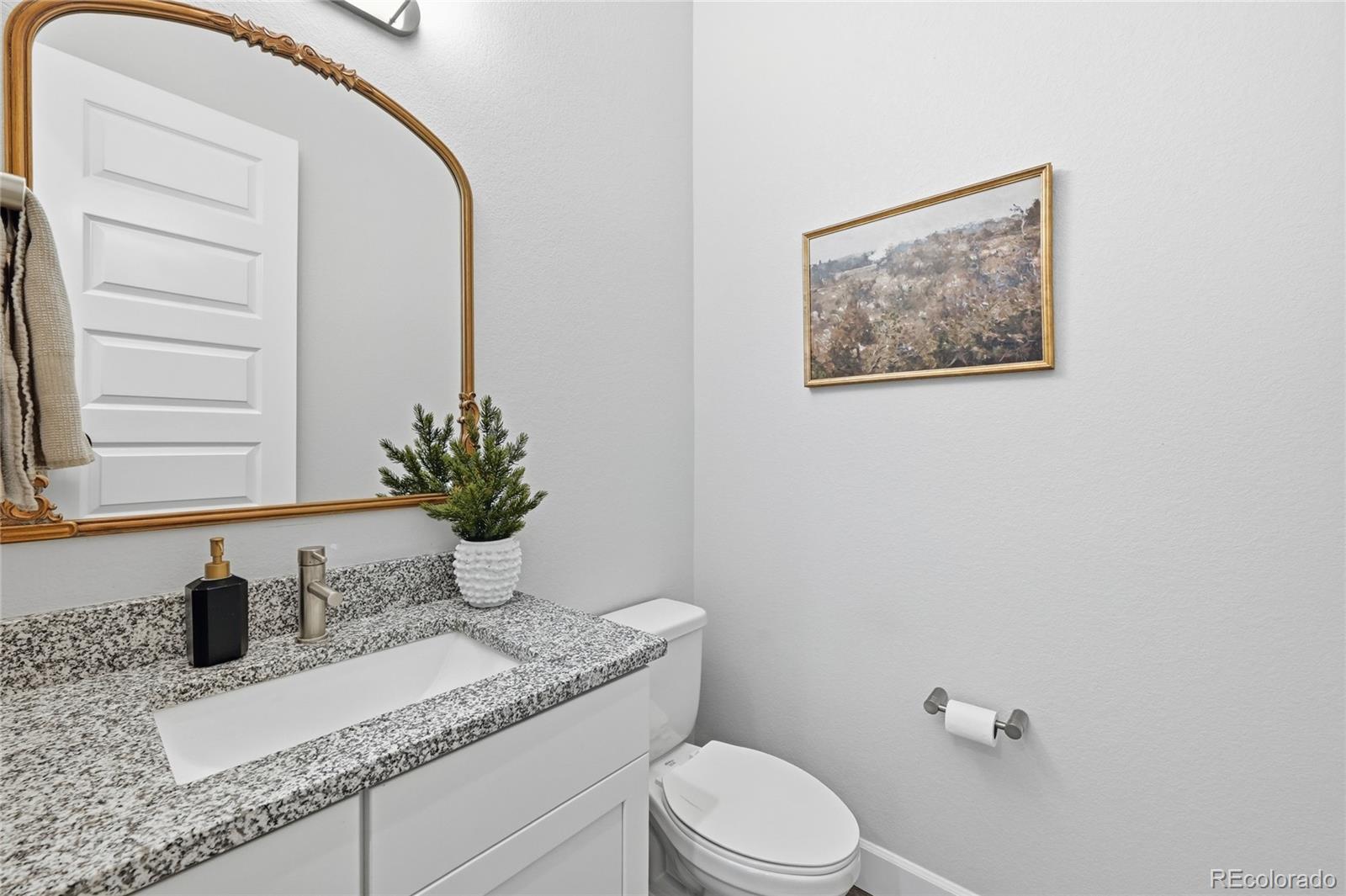 MLS Image #23 for 3208  carabiner street,castle rock, Colorado