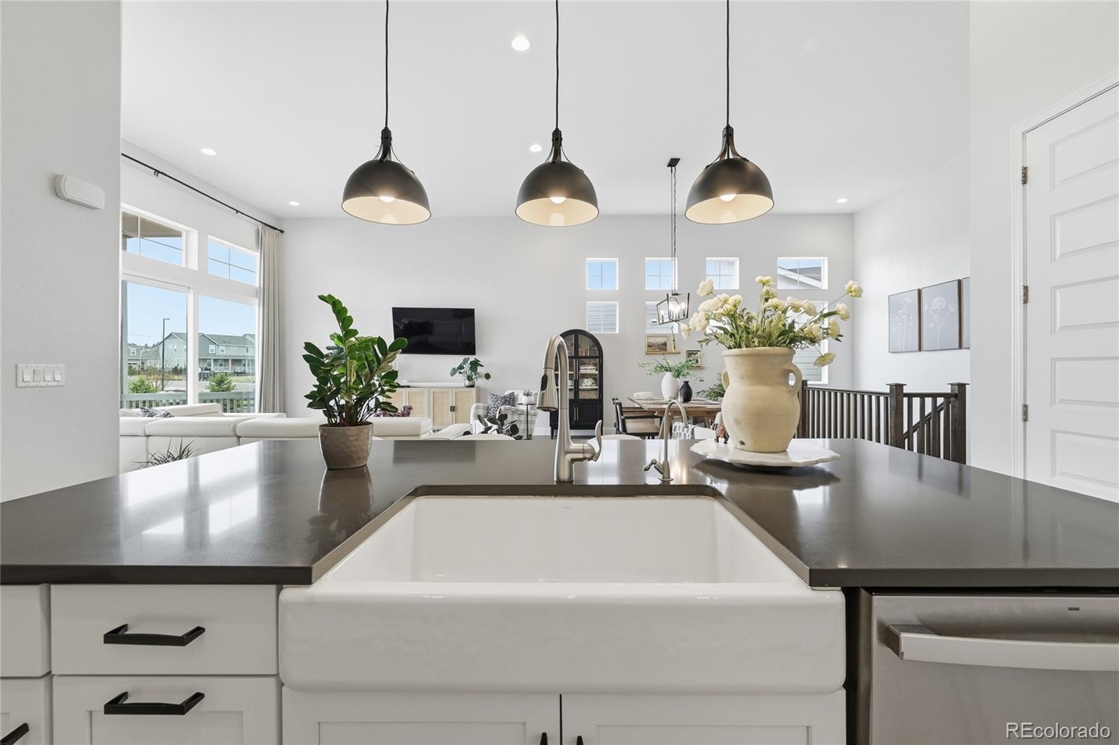 MLS Image #9 for 3208  carabiner street,castle rock, Colorado